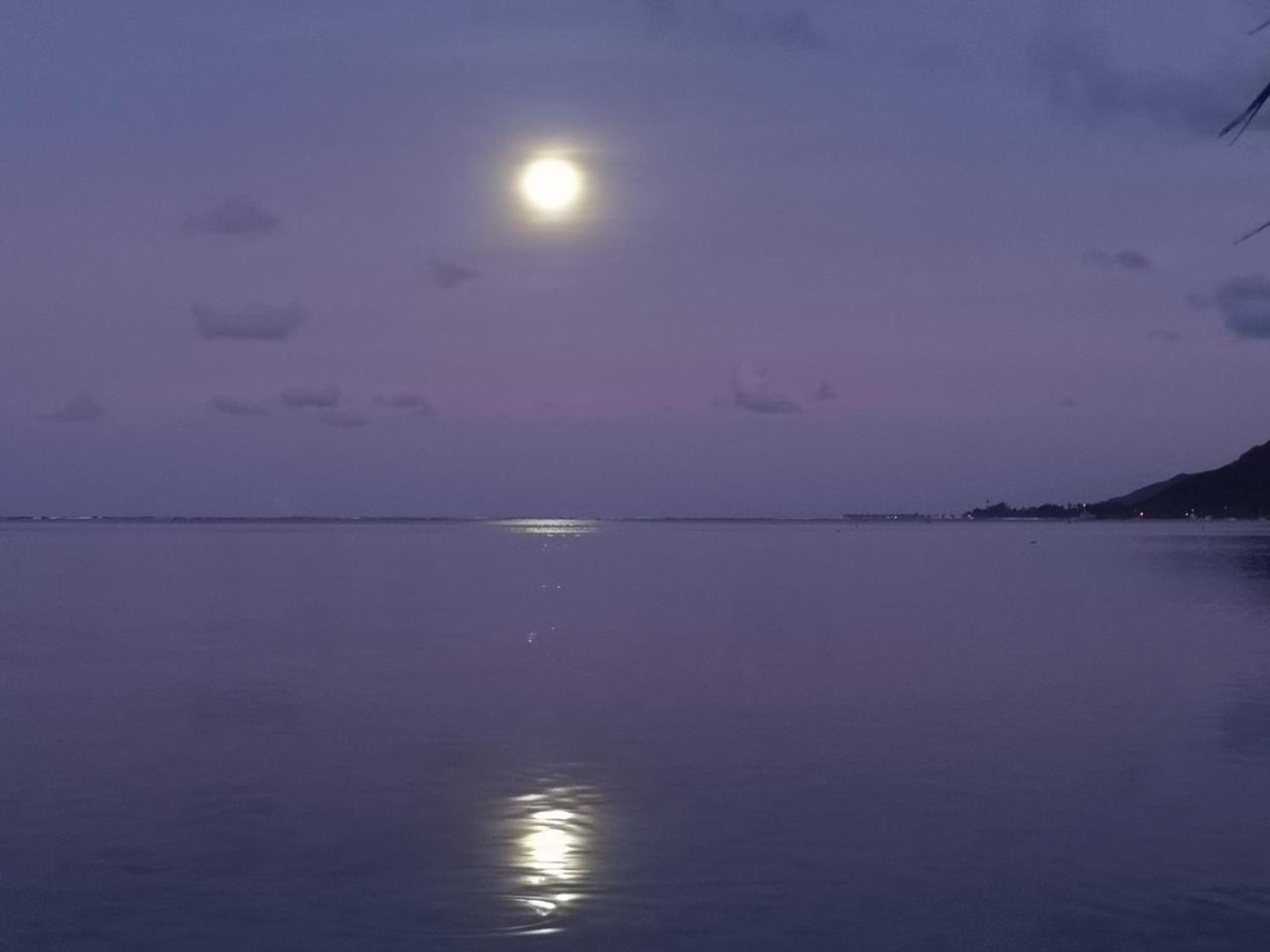 Lagoon Dream Moorea Eksteriør billede